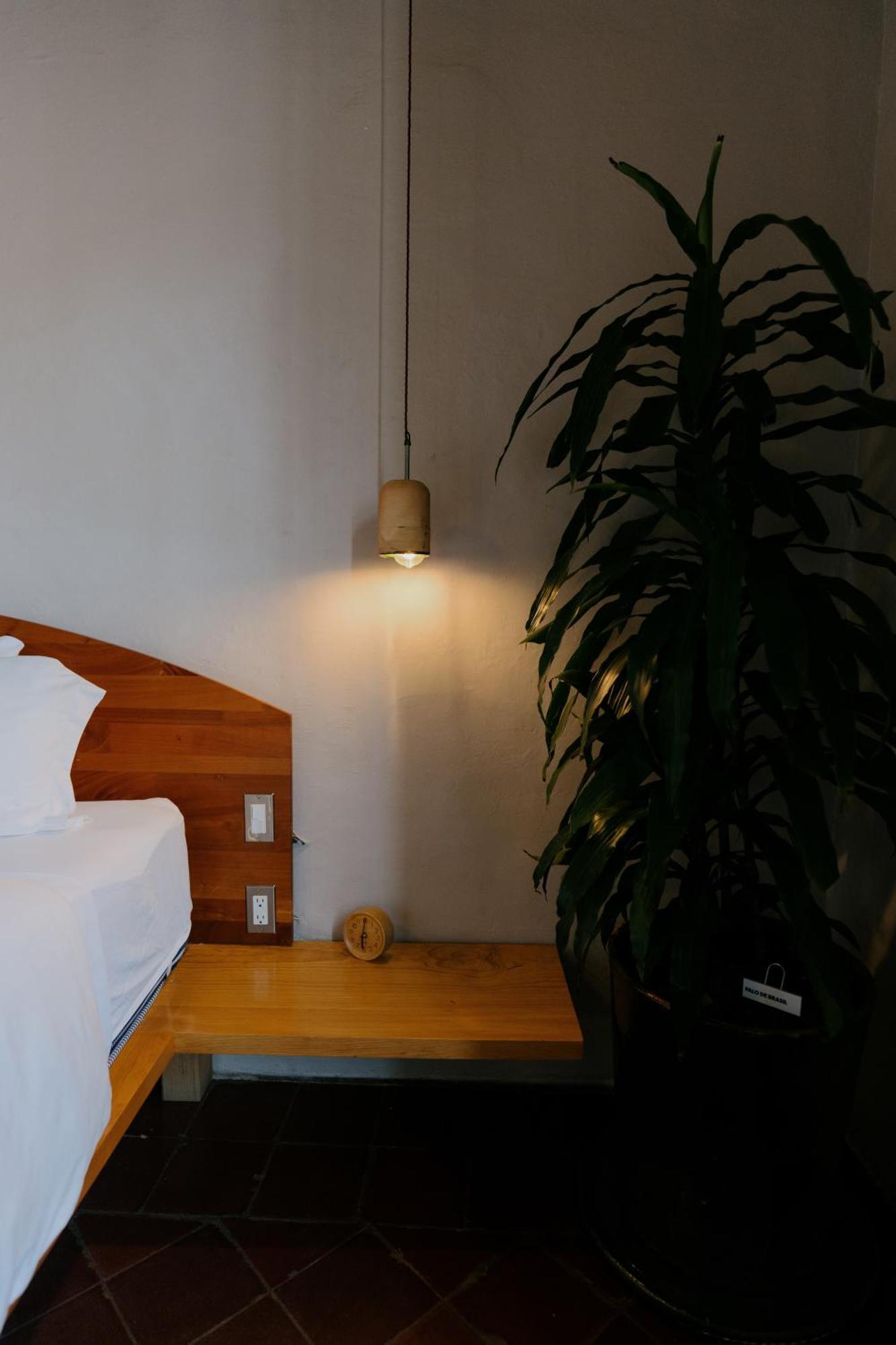 Grana B&B Oaxaca Luaran gambar